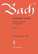 Wahrlich, wahrlich, ich sage euch 