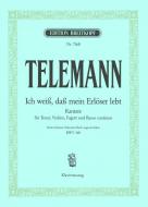 Ich weiß, dass mein Erlöser lebt 