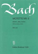 Come, Jesus, Come BWV 229 