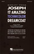 Joseph And The Amazing Technicolor Dreamcoat 