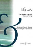 The Wooing Of A Girl 