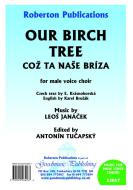 Our Birch Tree 