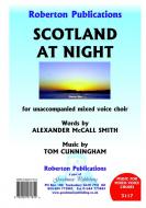 Scotland At Night 