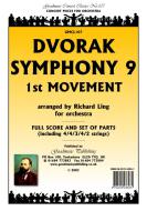 Symphony 9 (1st Movement) 