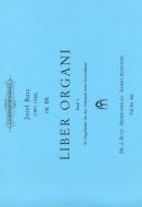 Liber Organi 1 