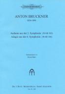 Andante From Symphony No. 2 (WAB 102) & Adagio From Symphony No. 6 (WAB 106) 