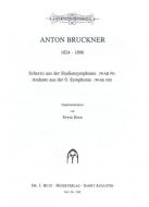 Andante From Symphony No. 0 / Scherzo From The Study Symphony 