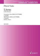 Litene Standard