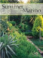 Summer in Marino 