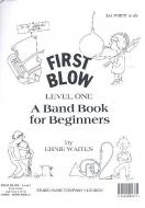First Blow Level 1 