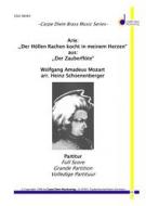 Arie: Der Hölle Rachen kocht in meinem Herzen 