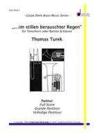 Im Stillen berauschter Regen 