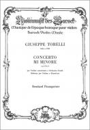 Konzert e-moll 
