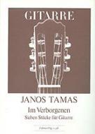 Im Verborgenen 