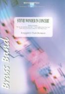 Stevie Wonder In Concert 