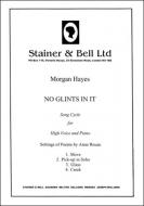 No Glints In It 