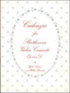 Cadenzas For Violin Concerto In D 
