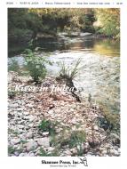 River In Judea 