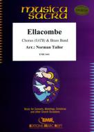 Ellacombe Standard