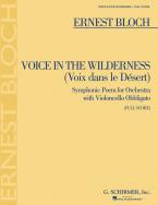 Voice in the Wilderness 