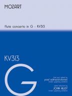Concerto in G KV 313 