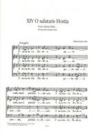 Gloria patri No 14, 15 op. 17 