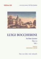 Flute Quintets Vol.1, 6 