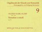 Sonatina A Minor Op. 74 