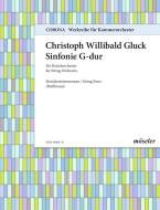 Symphony G Major Standard