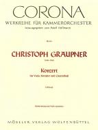 Concerto G minor GWV 336 