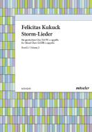 Storm Songs Vol. 2 Standard