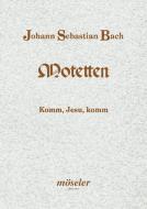 Come, Jesus, Come BWV 229 