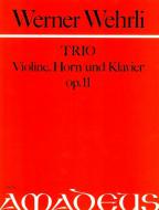 Trio op. 11 in d minor 