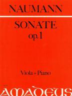 Sonata op. 1 in g minor 