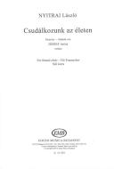 Csudálkozunk az életen - Gedicht von József Attila 