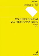 Via Crucis / Via Lucis 