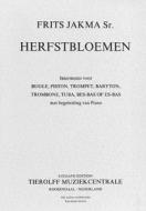 Herbstblumen 