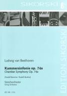 Chamber Symphony 