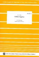 Capriccio italien op. 45 für Orchester 