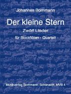 Der kleine Stern 