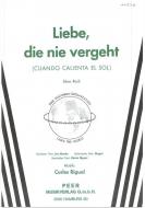 Liebe, die nie vergeht 