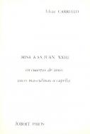 Misa a S.S. Jean XXIII 