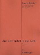 Aus dem Nebel in das Licht 