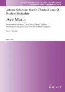 Ave Maria Standard