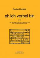 eh ich vorbei bin 