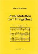 Zwei Motetten zum Pfingstfest 