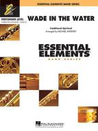 Wade In The Water 