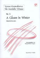 A Gleam in Winter 
