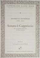 Sonata o Cappriccio 