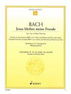 Jesu, Joy of Man's Desiring BWV 147 Standard